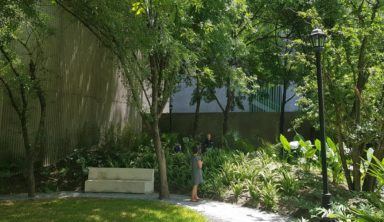 Parque Ciudadano: activismo tras bambalinas / Opinión de Emiliano Sánchez