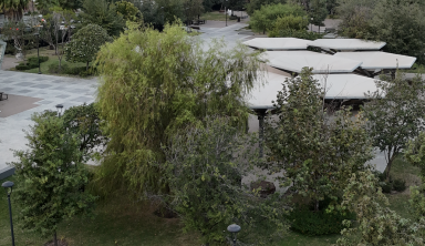 Organizaciones y colectivos exigen a Gobernador de NL la cancelación del proyecto de “rehabilitación” en Plaza Gastronómica y la reapertura inmediata del espacio público