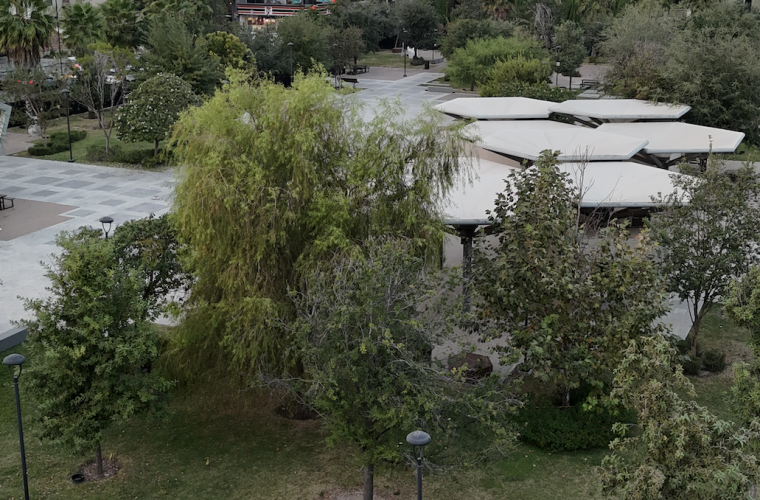 Organizaciones y colectivos exigen a Gobernador de NL la cancelación del proyecto de “rehabilitación” en Plaza Gastronómica y la reapertura inmediata del espacio público