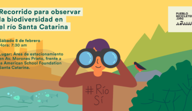 Recorrido para observar la biodiversidad en el río Santa Catarina – 8 de febrero, 2020