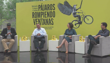 Pájaros rompiendo ventanas. Selección de columnas de opinión sobre la ciudad / Por Moisés López Cantú