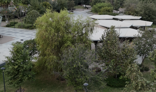 Organizaciones y colectivos exigen a Gobernador de NL la cancelación del proyecto de “rehabilitación” en Plaza Gastronómica y la reapertura inmediata del espacio público